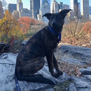 Meet your Posher, Marcy